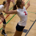 indoor volleyball pokies