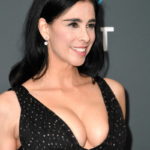 Sarah Silverman boobs 2