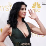 Sarah Silverman cleavage